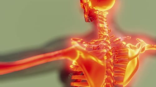 Animated 3D Human Skeleton with Glowing Medical Pain Points