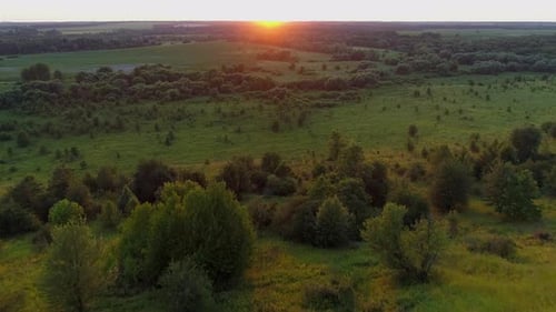 Luftaufnahme Sonnenuntergang oder Sonnenaufgang im Feld Drohnenaufnahme Schöne Sommersonne im Wald