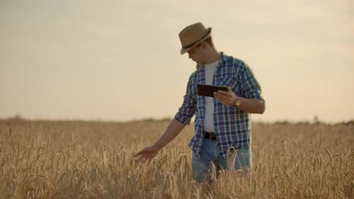 Young Male Farmer Holding Tablet in Wheat Field