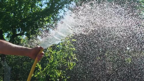 Stream of Water Spraying From Garden Hose Close Up