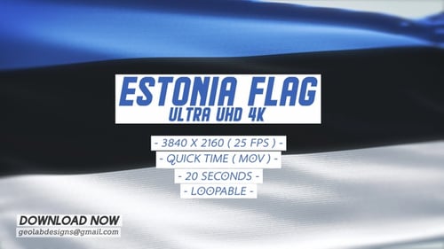 Estonian Flag Waving Realistic Loop Background