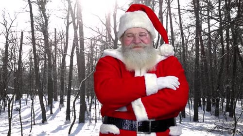 Santa on Forest Background.