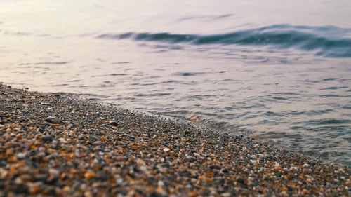 Pebble Beach