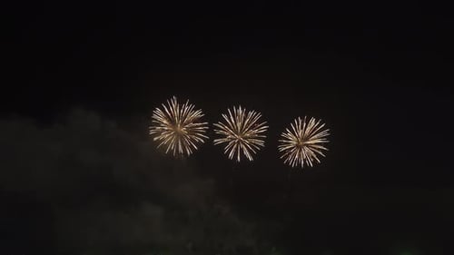 Fireworks Explode in Dark Night Sky