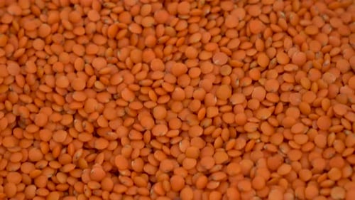 A Lot of Lentils on the Market Close-up. The Camera Moves.
