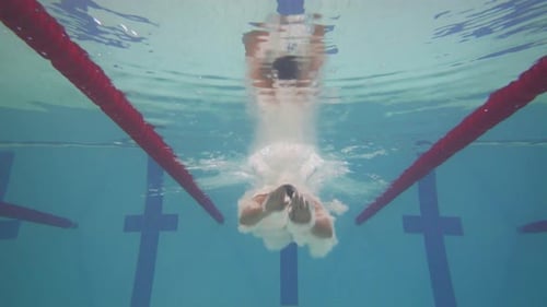 Jeune nageur professionnel sautant dans l'eau et nageant dans la piscine s'entraînant dans l'eau