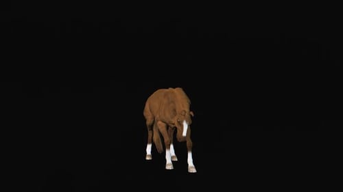 Animated 3D Horse Rearing with Alpha Channel