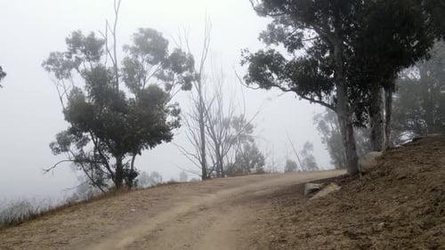 Aerial of a foggy hiking trail