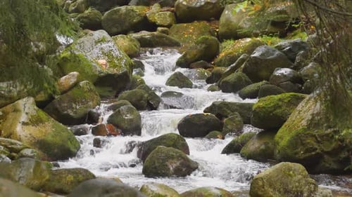 Waterfall
