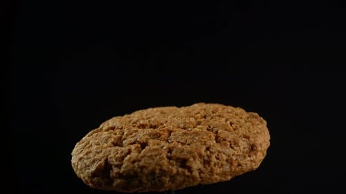 Closeup of freshly baked cranberry oatmeal cookies