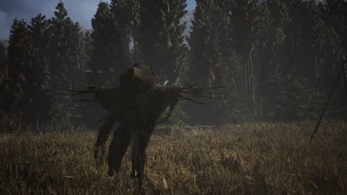 Scarecrow on the Old Village Field