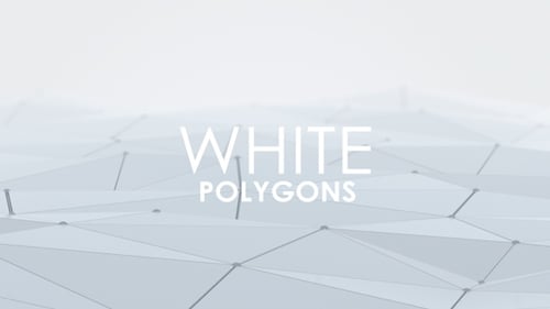 White 3D Polygons
