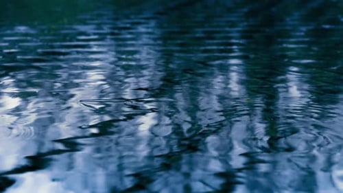 Raindrops Falling on Calm Lake Water Surface