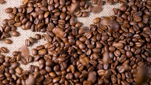 Roasted Coffee Beans Falling onto Burlap Surface
