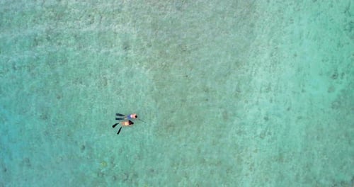 Couple snorkeling in the sea 4k