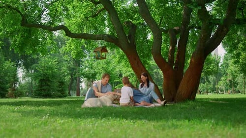 Family Picnic Under a Shady Tree in Park