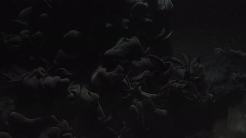 Black Smog Blast Logo Reveal Ink Water Shot Dust