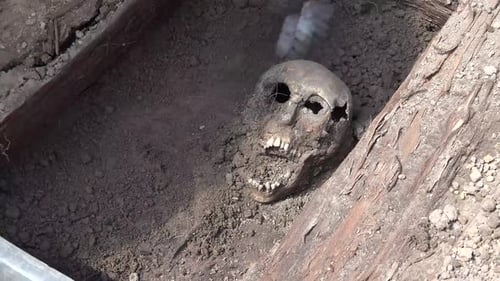 Exhumation Of Human Remains