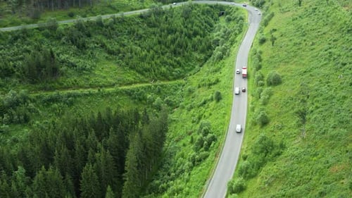 Bergstraße oder geschwungene Serpentine im Wald mit Autoverkehr und hohen grünen Bäumen