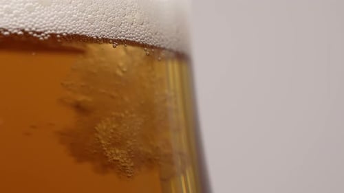 Cerveza fría fresca 61