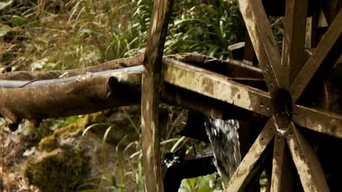 Water Mill In Green Nature 2