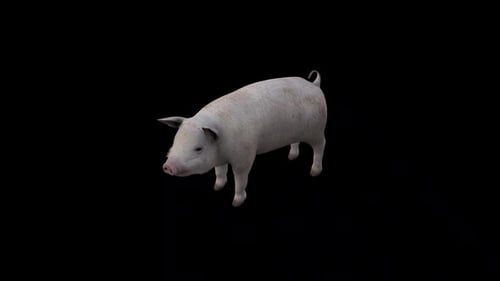 Blick im Leerlauf vom oberen Winkel nach vorne