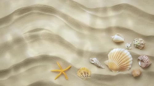Animated Beach Sand Background with Seashells and Caustic Light
