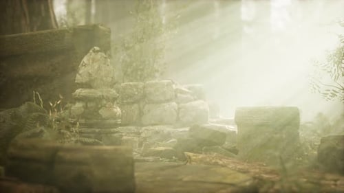 Hoary Ruins of Ancient City in Pine Forest