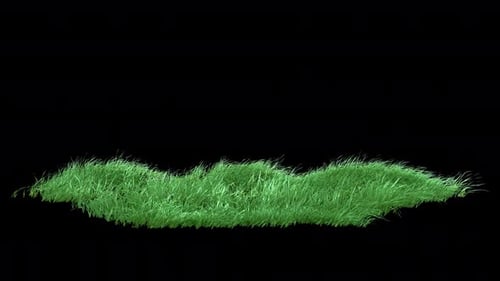 Grass Strong Wind Loop 4K