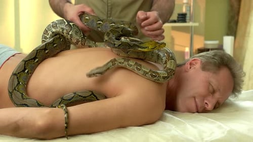 Homme recevant un massage de serpent exotique