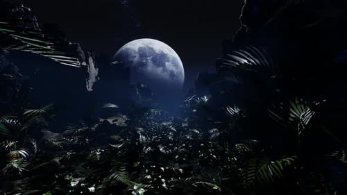 Moonlit Night Jungle with Lush Foliage and Starry Sky