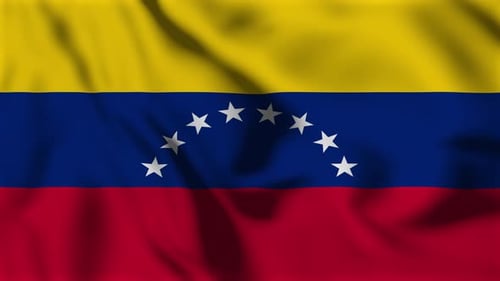 Animated Waving Flag of Venezuela
