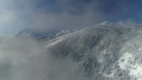 Flight Over the Snowcovered Spruce Forest with Mountains in the Background
