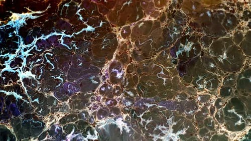 Abstract Fluid Art in Motion