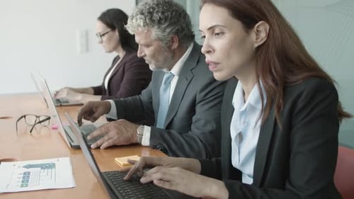 Row of Businesspeople Sitting Together at Desk and Working