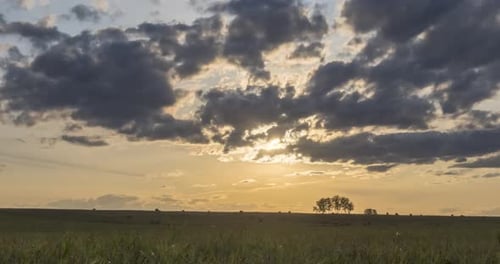 Flat Hill Meadow Timelapse at the Summer Sunset Time. Wild Nature and Rural Field. Sun Rays, Trees