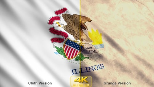 Waving Illinois State Flag Animated Loop