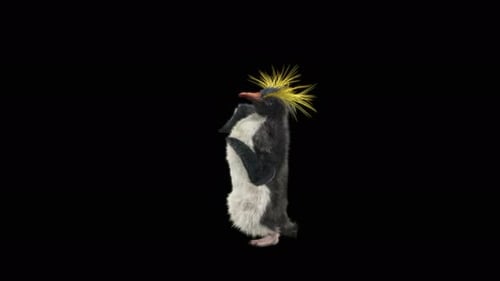 Penguin Dancing 4K