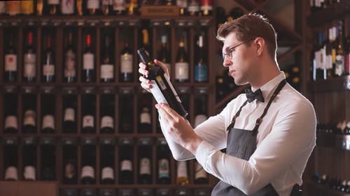 Elegant Wine Seller Holding a Bottle of Wine and Reading Label in a Wine Store