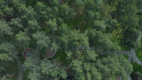 Beautiful view of new green park in middle of city