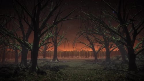 Flock Of Crows On The Gloomy Forest Trees 4K