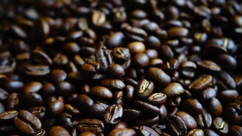 Roasted Coffee Beans Piled on Burlap Surface