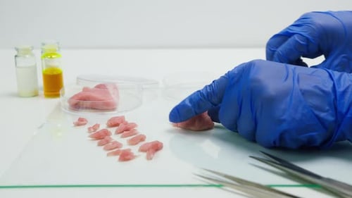 Lab Grown Meat Sample Preparation