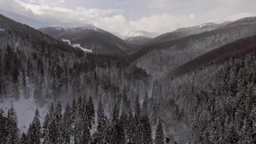 Aerial View Flying Over Forests in the Mountains in Wintertime
