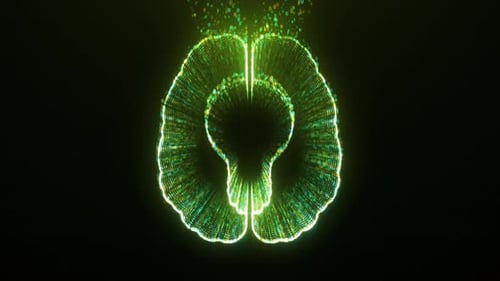 Digital Binary Code Forms Brain and Lightbulb Concept