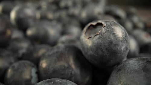 Blueberries15