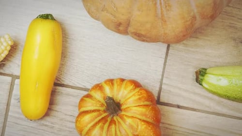 Thanksgiving day. Pumpkin, squash and corn on wooden background. Happy Halloween Day.