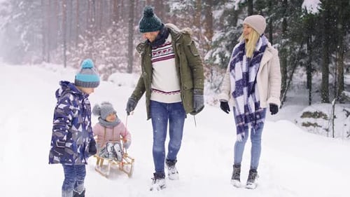 Family pulling sleds through snow in the forest. Shot with RED helium camera in 8K.