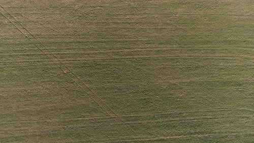 Flight Above Green and Yellow Fields Early Spring, Aerial Panoramic View