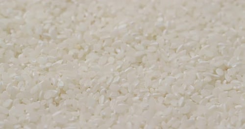 White rice